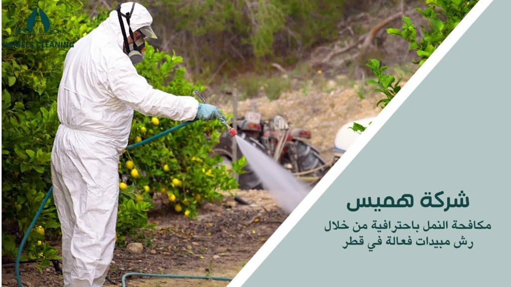 رش مبيدات ضد النمل في قطر