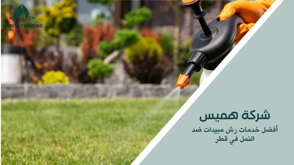 رش مبيدات ضد النمل في قطر