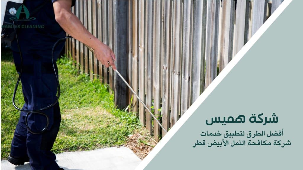 شركة مكافحة النمل الأبيض قطر