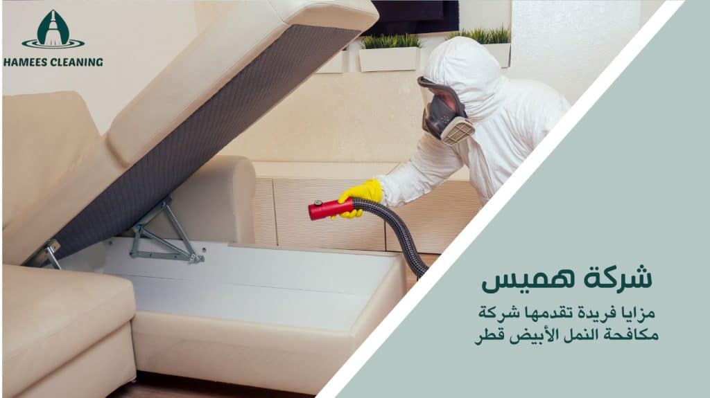 شركة مكافحة النمل الأبيض قطر