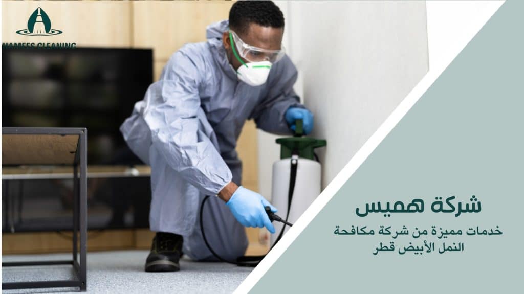شركة مكافحة النمل الأبيض قطر