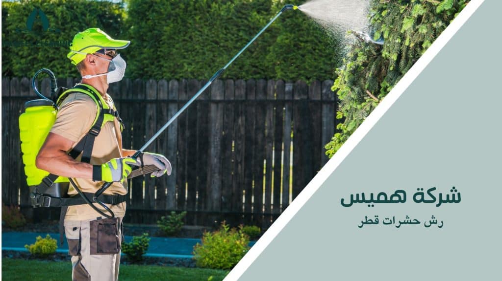 رش حشرات قطر
