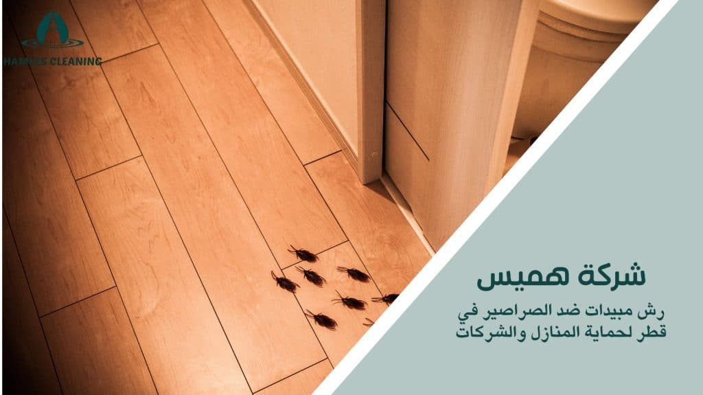 رش مبيدات ضد الصراصير في قطر
