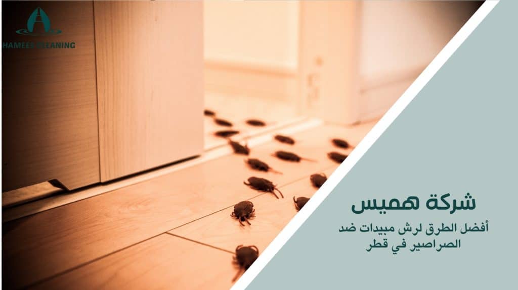 رش مبيدات ضد الصراصير في قطر