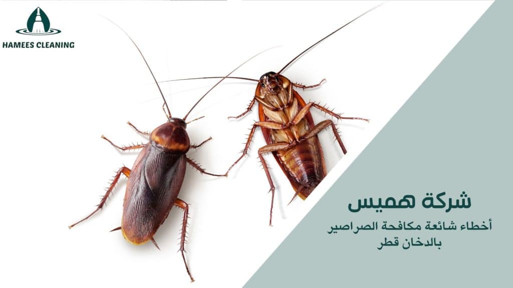 مكافحة الصراصير بالدخان قطر