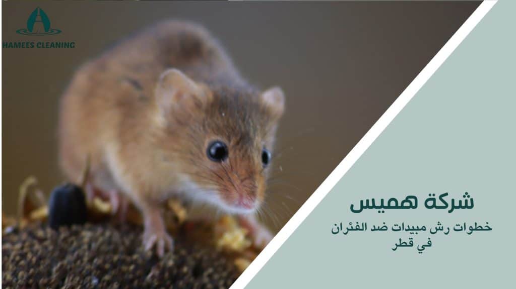 رش مبيدات ضد الفئران في قطر