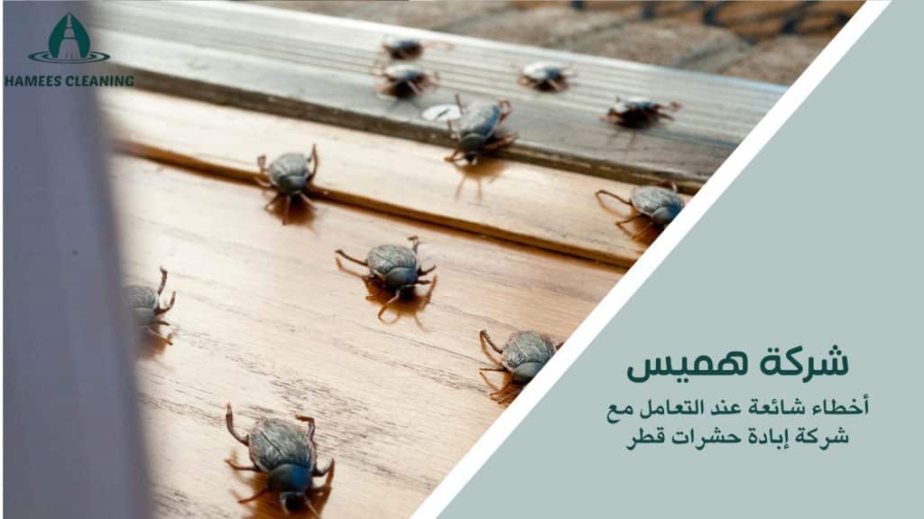 شركة إبادة حشرات قطر