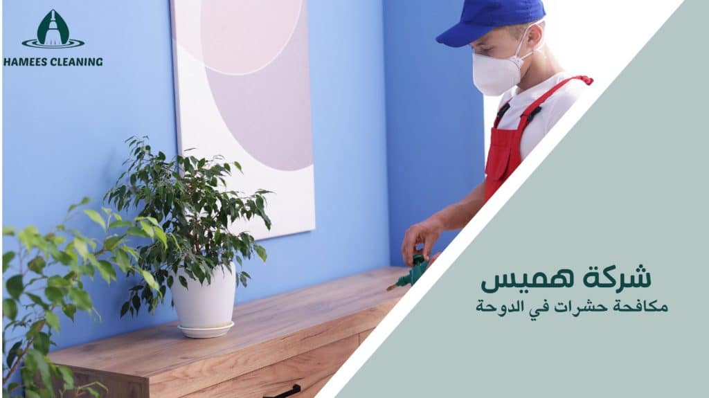 مكافحة حشرات في الدوحة