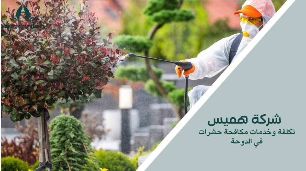 مكافحة حشرات في الدوحة