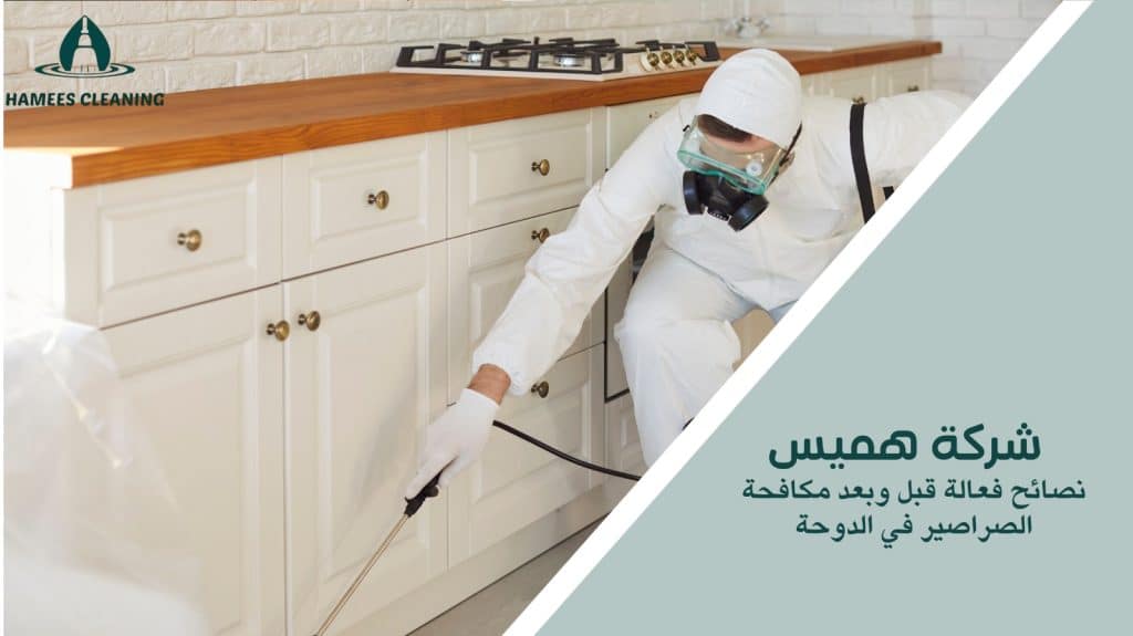 مكافحة الصراصير في الدوحة