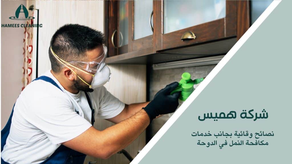 مكافحة النمل في الدوحة