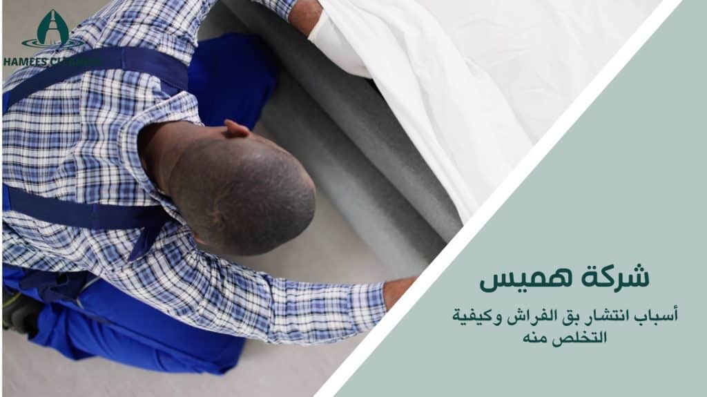 مكافحة بق الفراش في الدوحة
