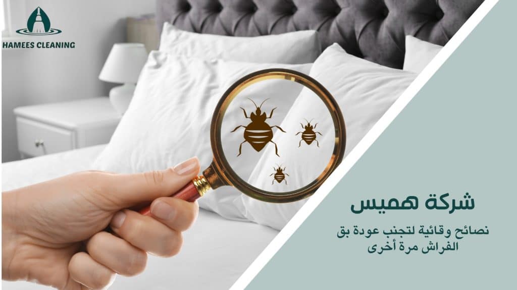 مكافحة بق الفراش في الدوحة