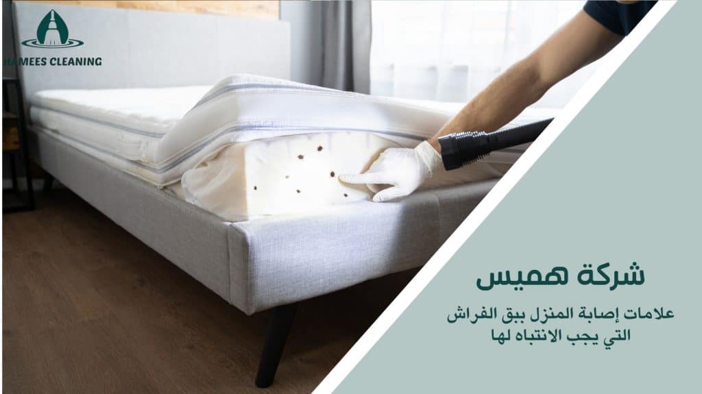 مكافحة بق الفراش في الدوحة