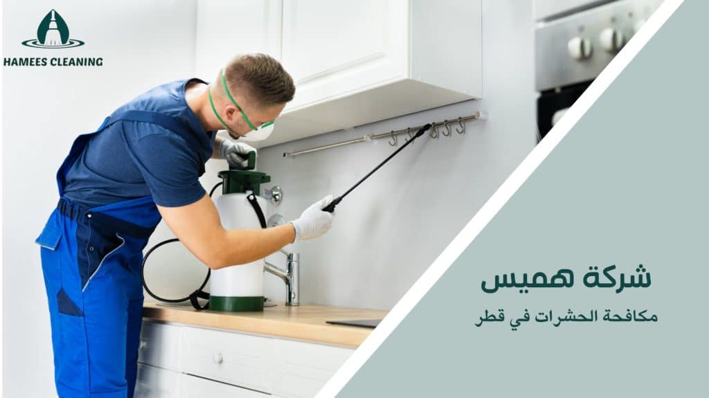 مكافحة حشرات في قطر