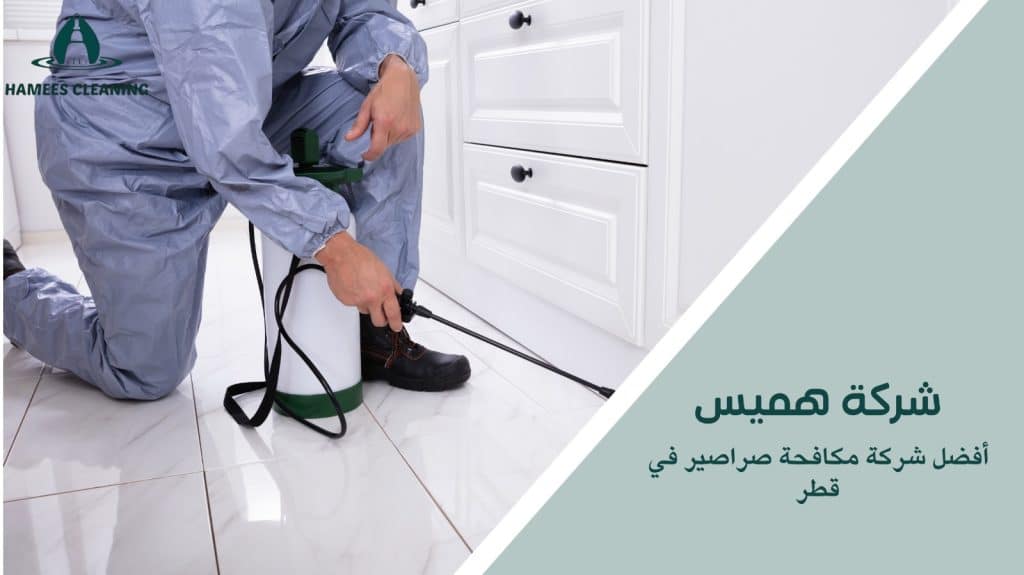  مكافحة الصراصير في قطر