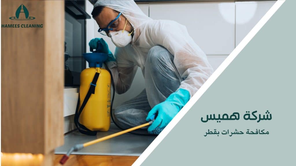 مكافحة حشرات بقطر