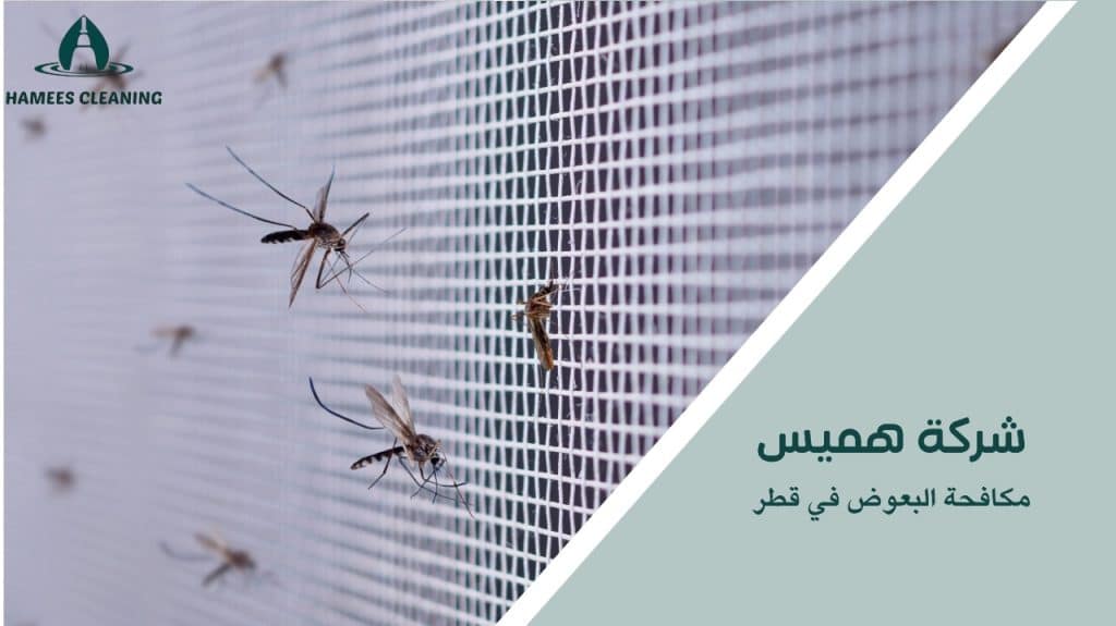 خدمات فعالة لمكافحة البعوض في قطر