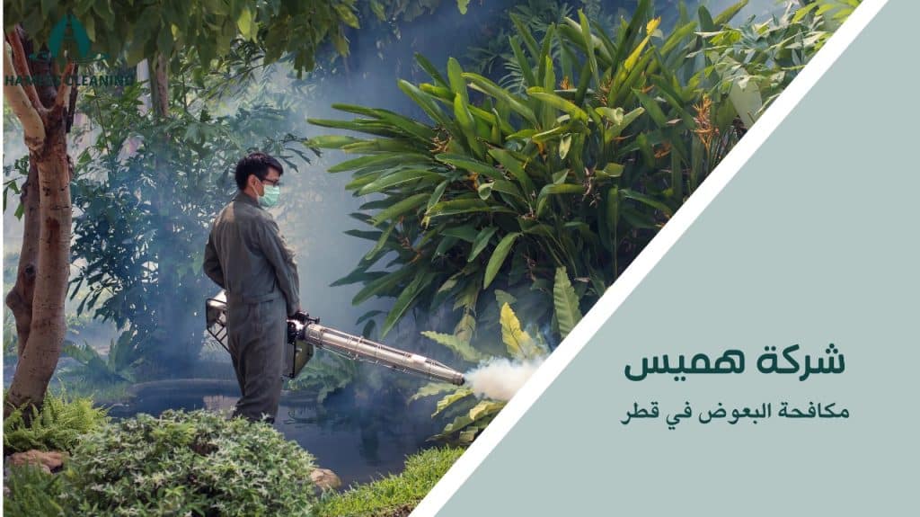 فريق متخصص للقضاء على البعوض في قطر