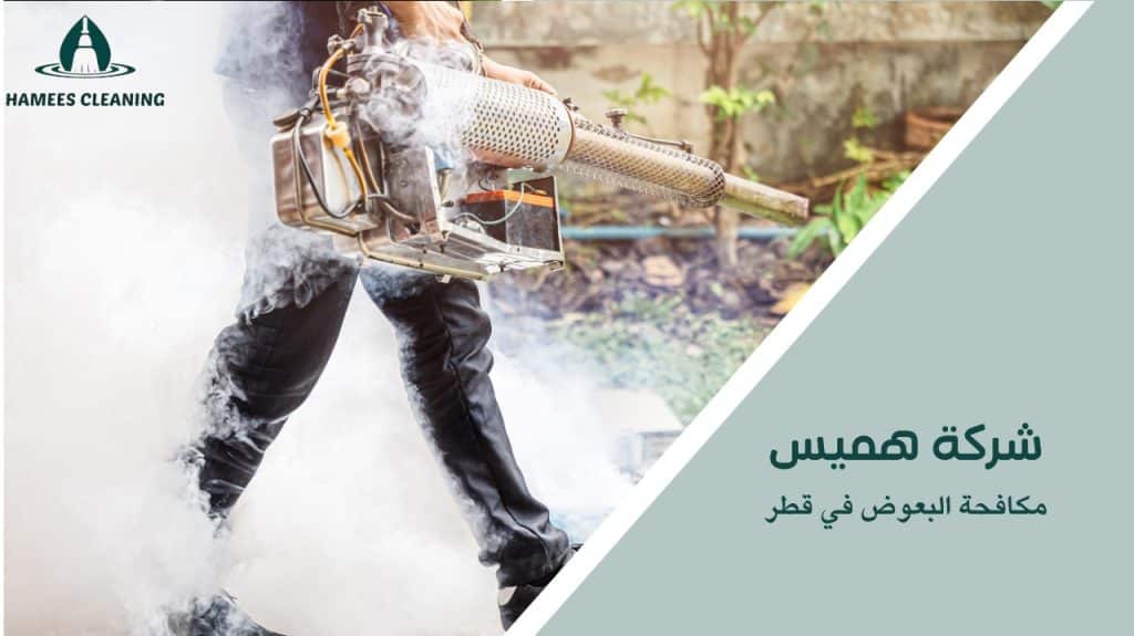 مكافحة البعوض في قطر