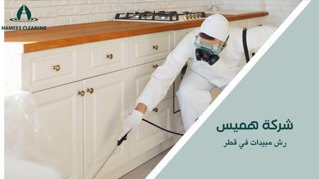 رش مبيدات آمن وفعال لحماية منزلك في قطر