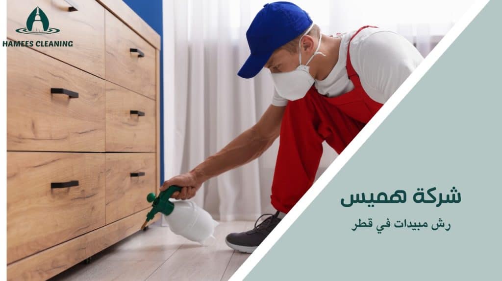 حماية منزلك من الحشرات مع أفضل رش مبيدات في قطر