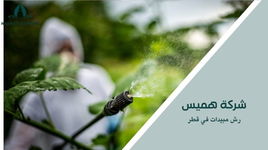 حلول متقدمة لرش مبيدات المنازل والمكاتب في قطر