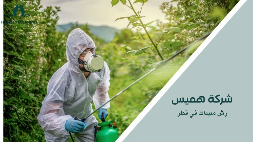 رش مبيدات في قطر
