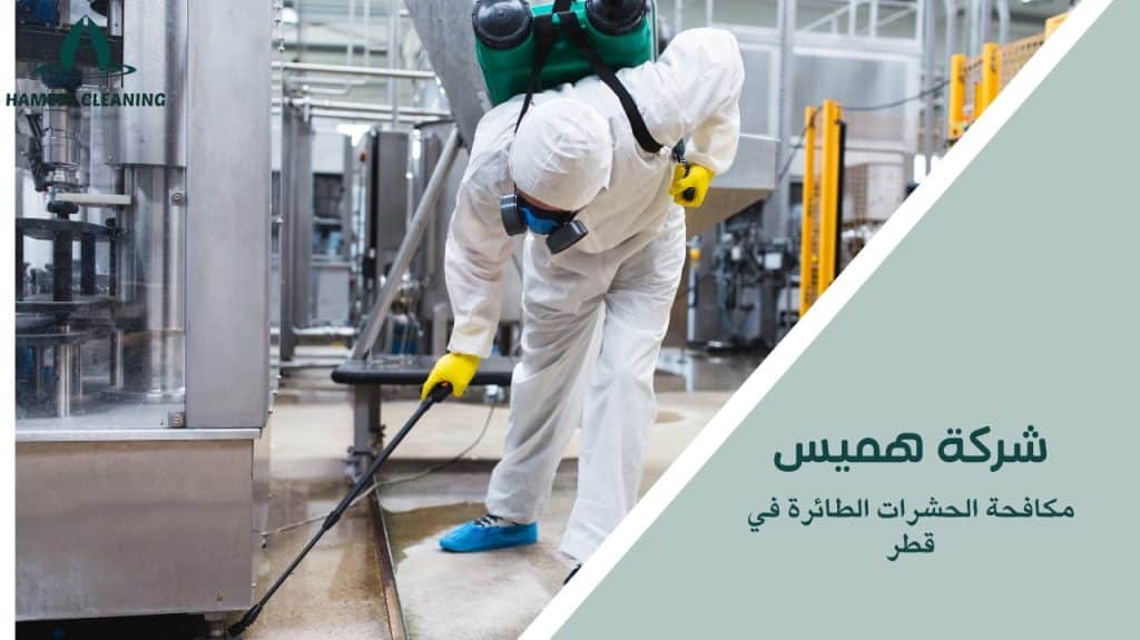 حلول فعالة للحشرات الطائرة في قطر