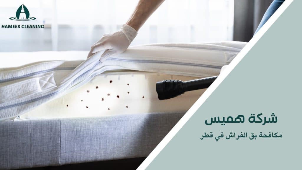 ضمان فعالية في مكافحة بق الفراش في قطر