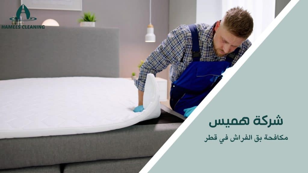 أفضل خدمة مكافحة بق الفراش في قطر