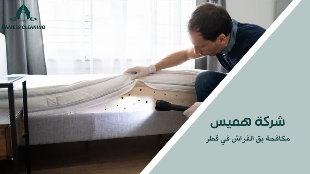 حلول سريعة لـ مكافحة بق الفراش في قطر