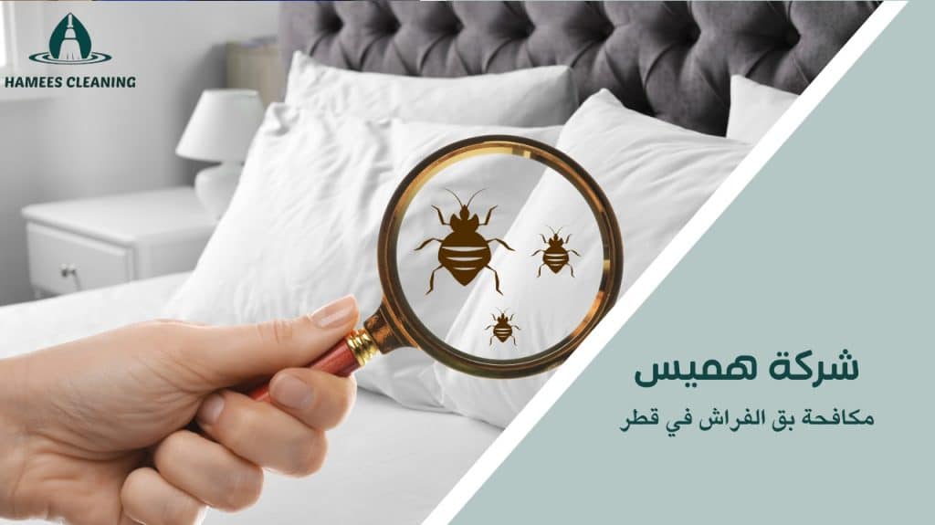 أسعار مناسبة لـ مكافحة بق الفراش في قطر