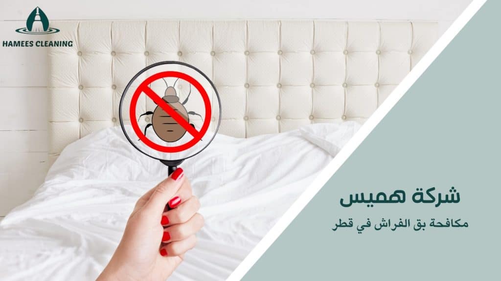 أسرع خدمة مكافحة بق الفراش في قطر