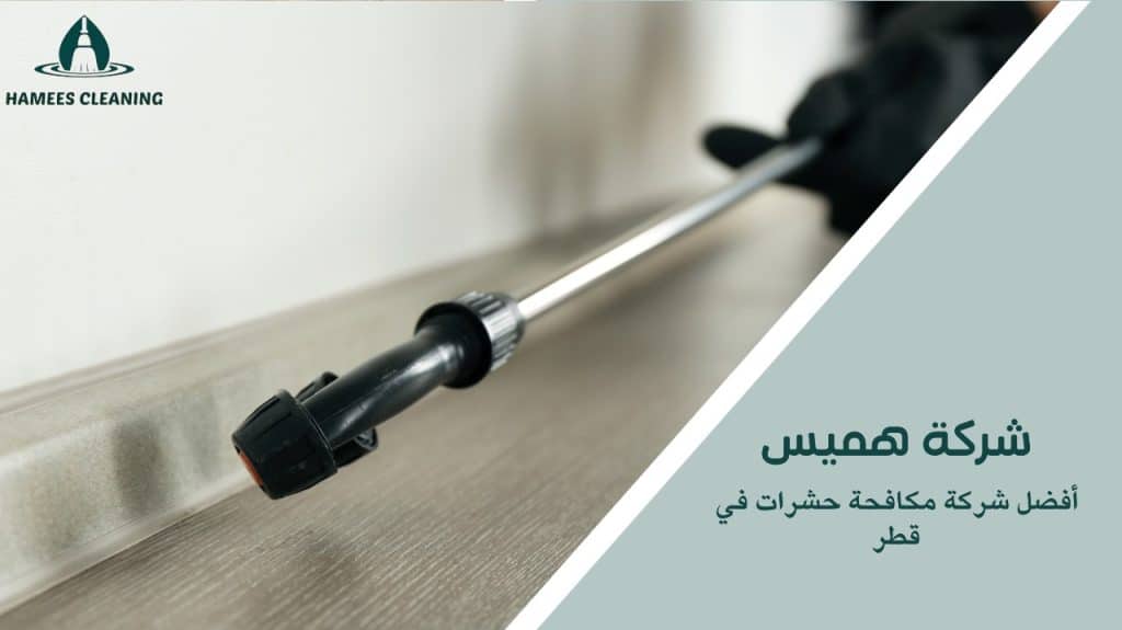 أفضل شركة مكافحة حشرات في قطر