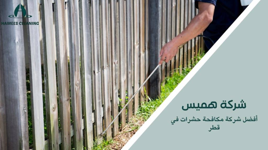 فريق متخصص في التخلص من الحشرات في قطر