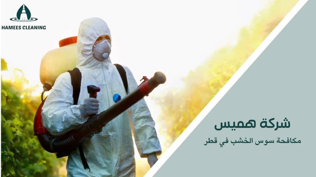مكافحة سوس الخشب في قطر