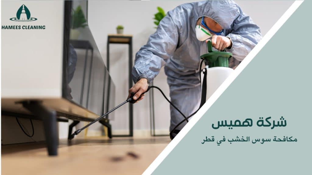 مميزات مكافحة سوس الخشب في قطر