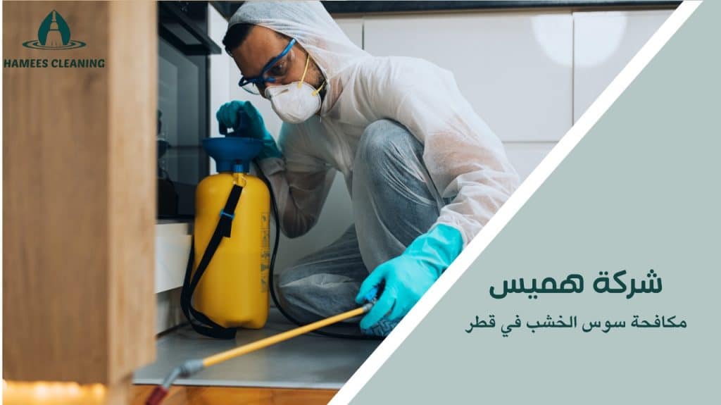 استراتيجيات مكافحة سوس الخشب في قطر