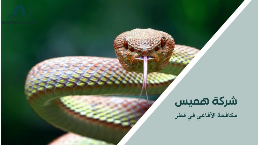 مكافحة الأفاعي في قطر