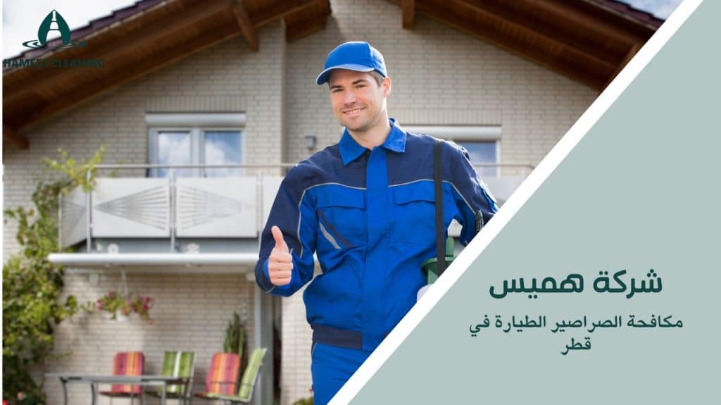 كيفية تجنب أخطاء مكافحة الجرذان قطر