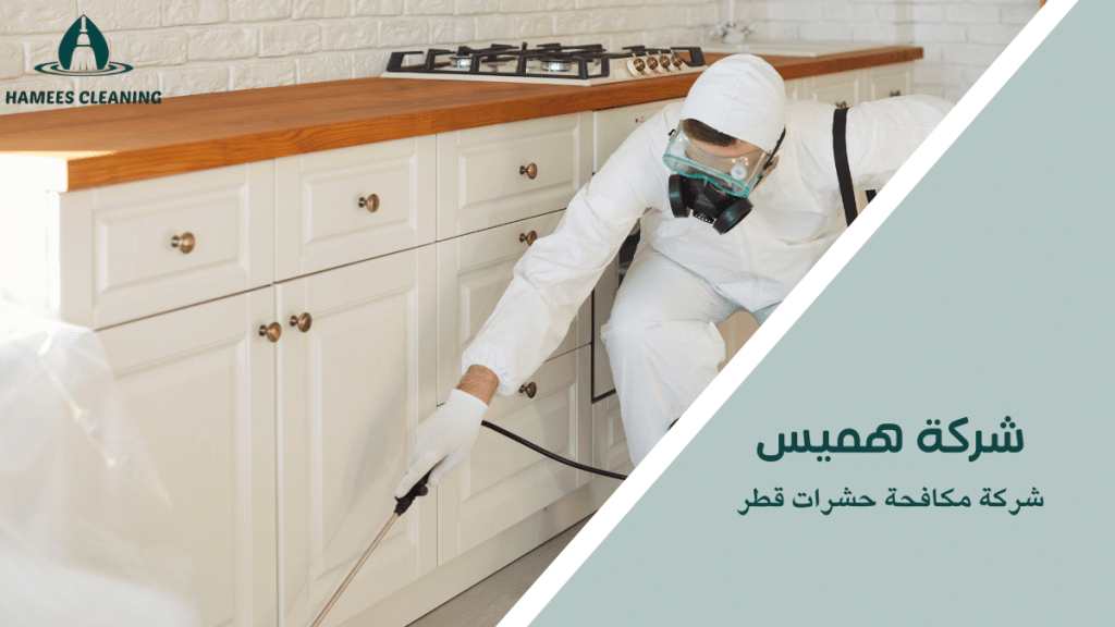 شركة مكافحة حشرات قطر
