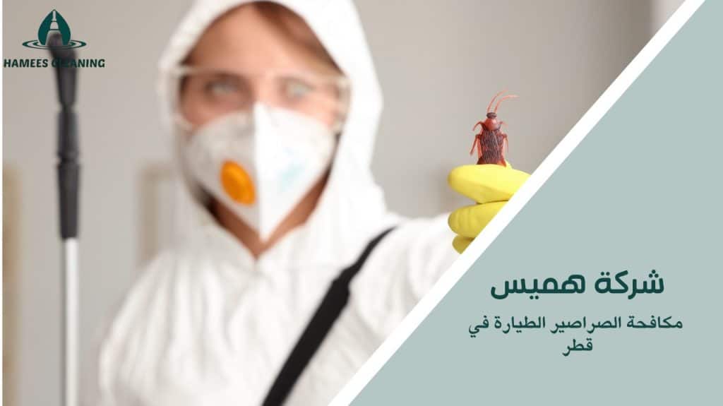 نصائح لمكافحة الصراصير الطيارة في قطر
