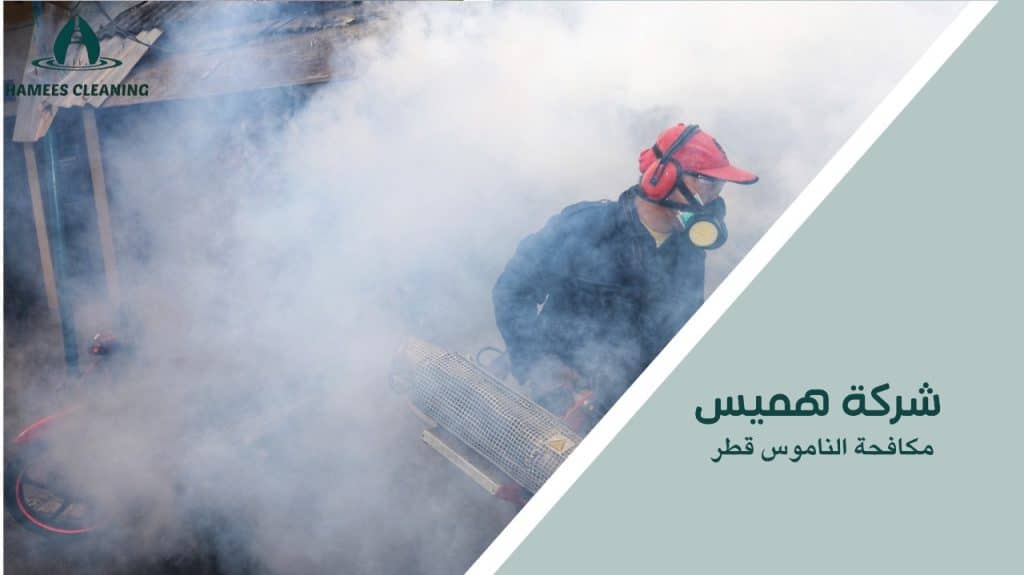 خطوات مكافحة الناموس قطر