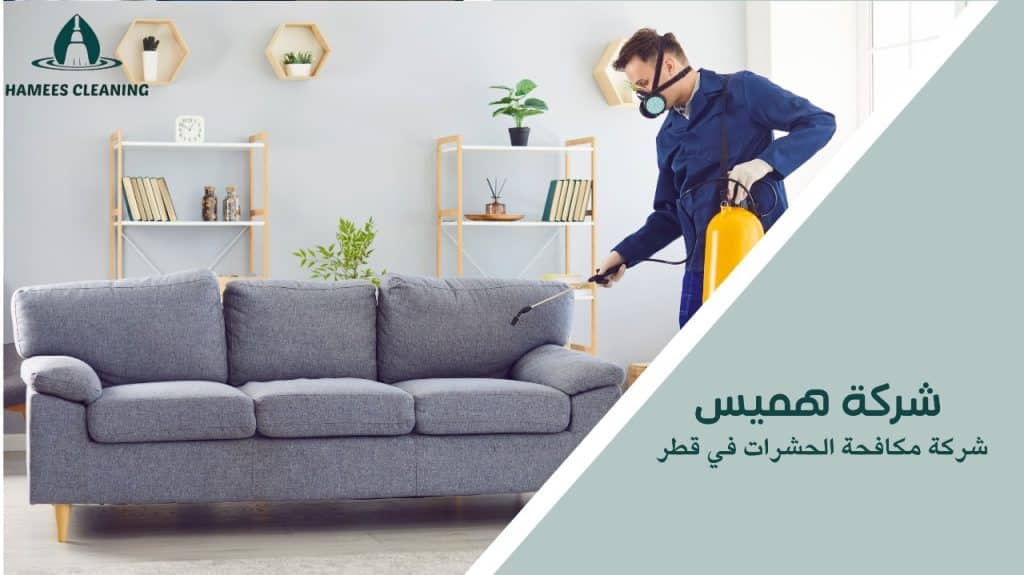 شركة مكافحة الحشرات في قطر