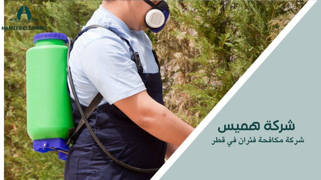 شركة مكافحة فئران في قطر
