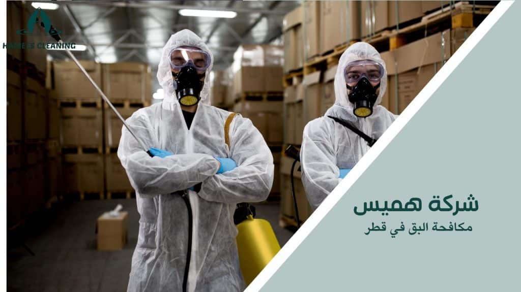 خطوات مكافحة البق في قطر
