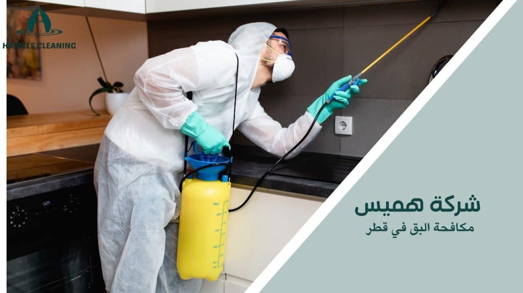 كيفية تجنب أخطاء عند مكافحة البق في قطر