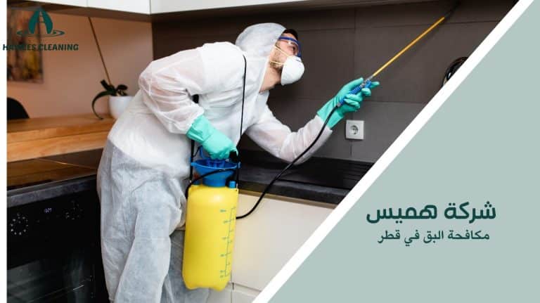 كيفية تجنب أخطاء عند مكافحة البق في قطر