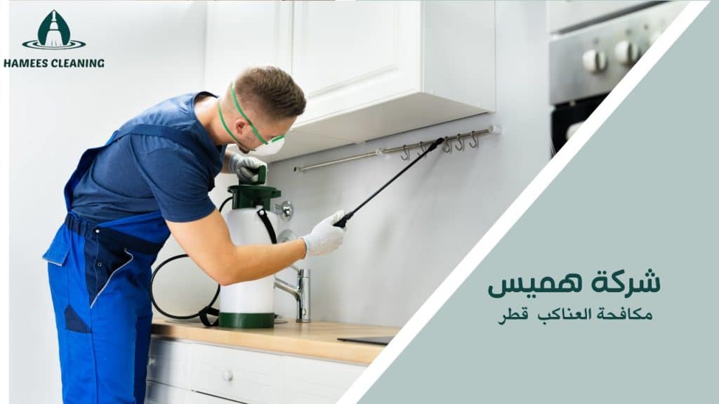 مكافحة العناكب قطر